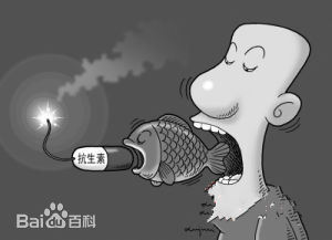 鱸魚抗生素檢測